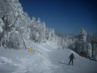 news-snowshoetrail-med